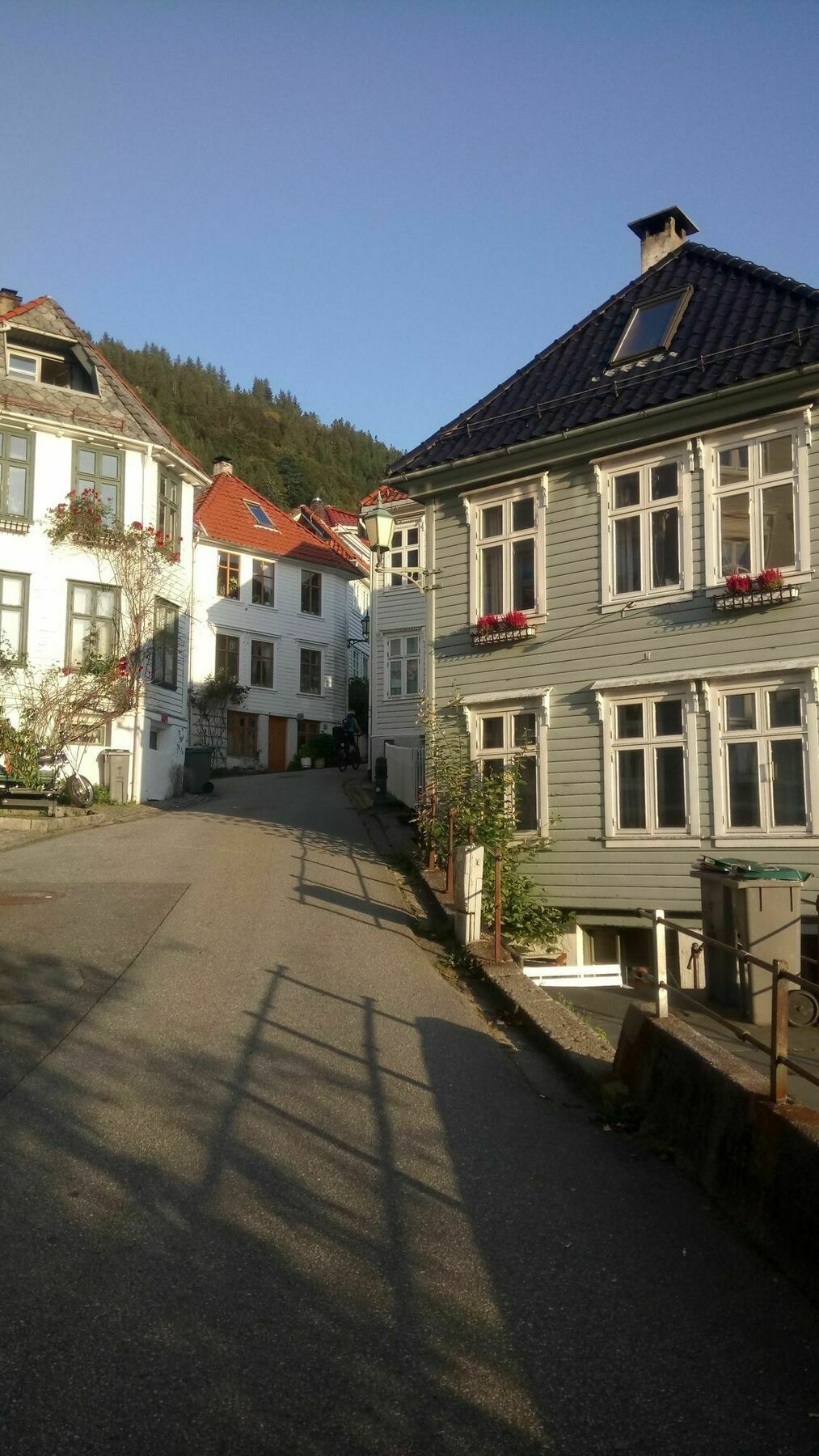 Center Villa Bergen Exterior foto